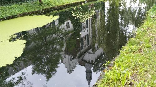 IMG 20230721 161616